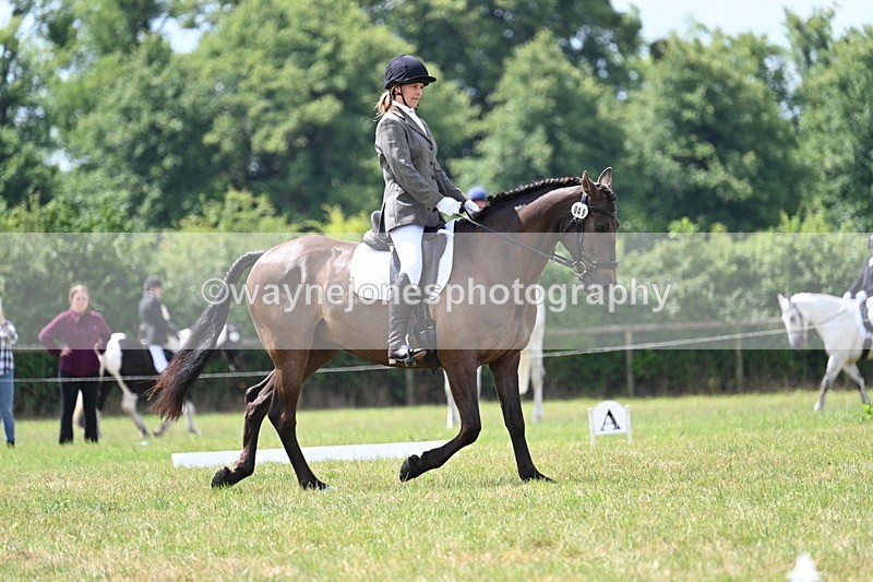 WJ7_4802 - Time 11:22 to 11:51