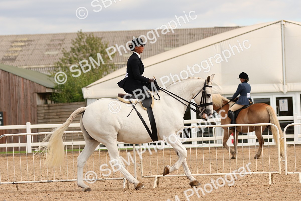 SBM_15887 - Class 216 - Best Side Saddle Horse-Pony