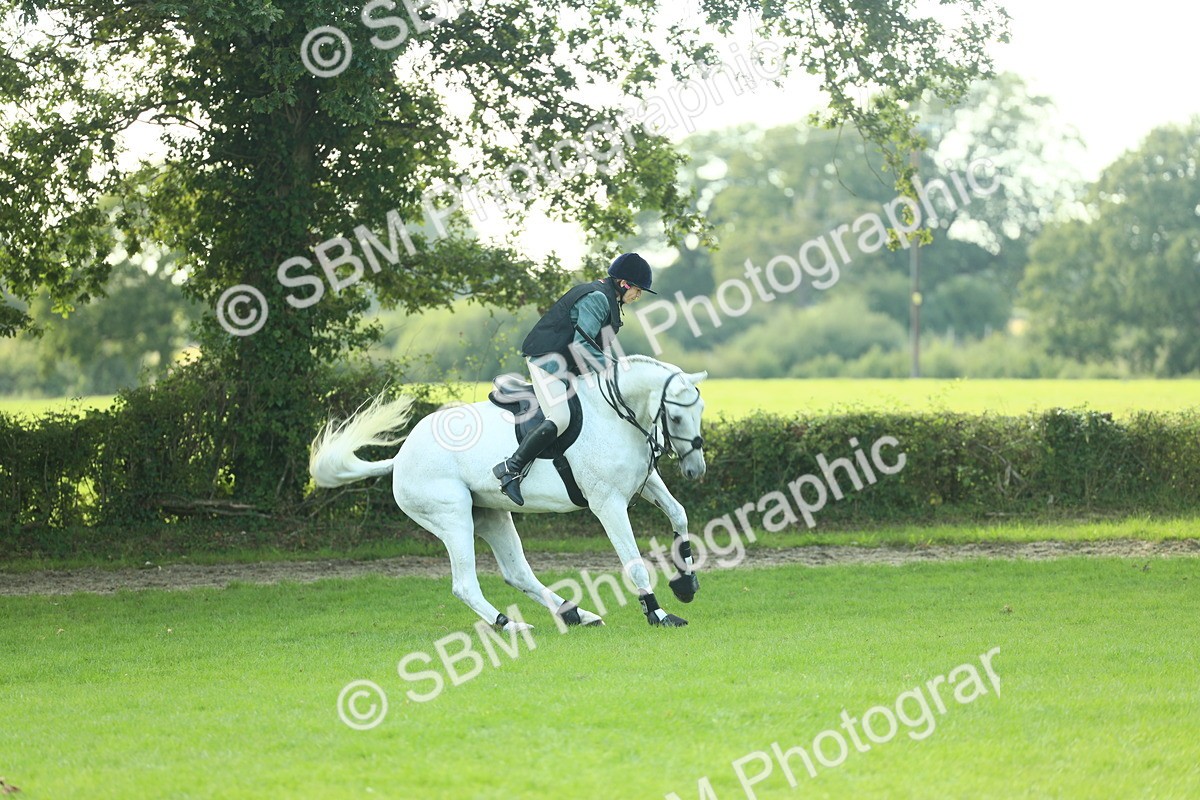 SBM_50576 - S33 - Working Hunter & Working Show Horse