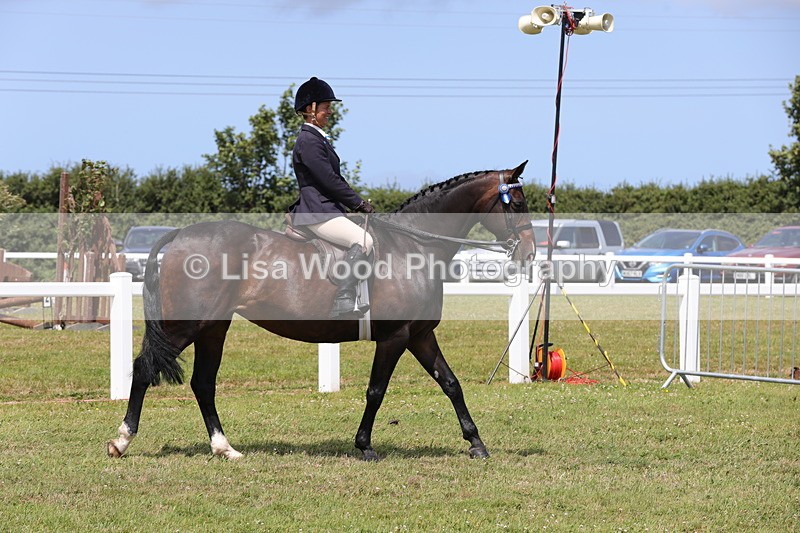 1X9A4271 - Class 34: Veteran Ridden