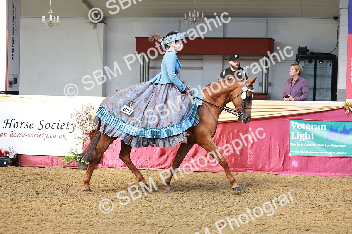 SBM_13696 - Class 106 - Ridden Costume -Astride Adult (15-19)