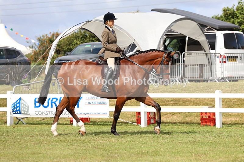 3E7A9277 - Class 4: Rising Star M/H Hunter