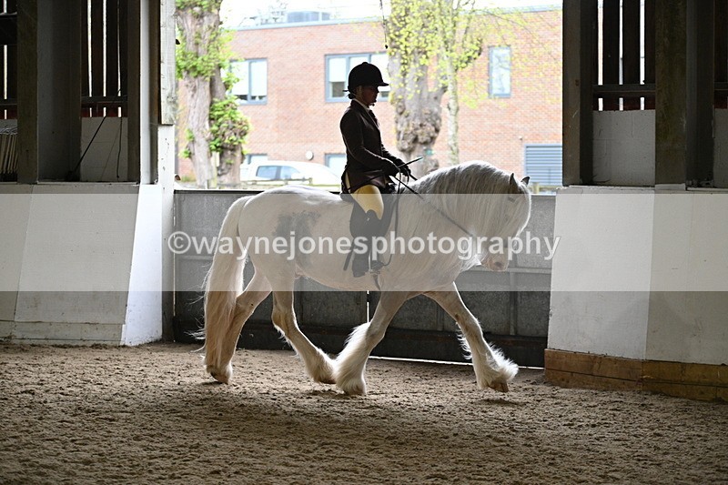 WJ7_3770 - Class 17 Ridden Cob