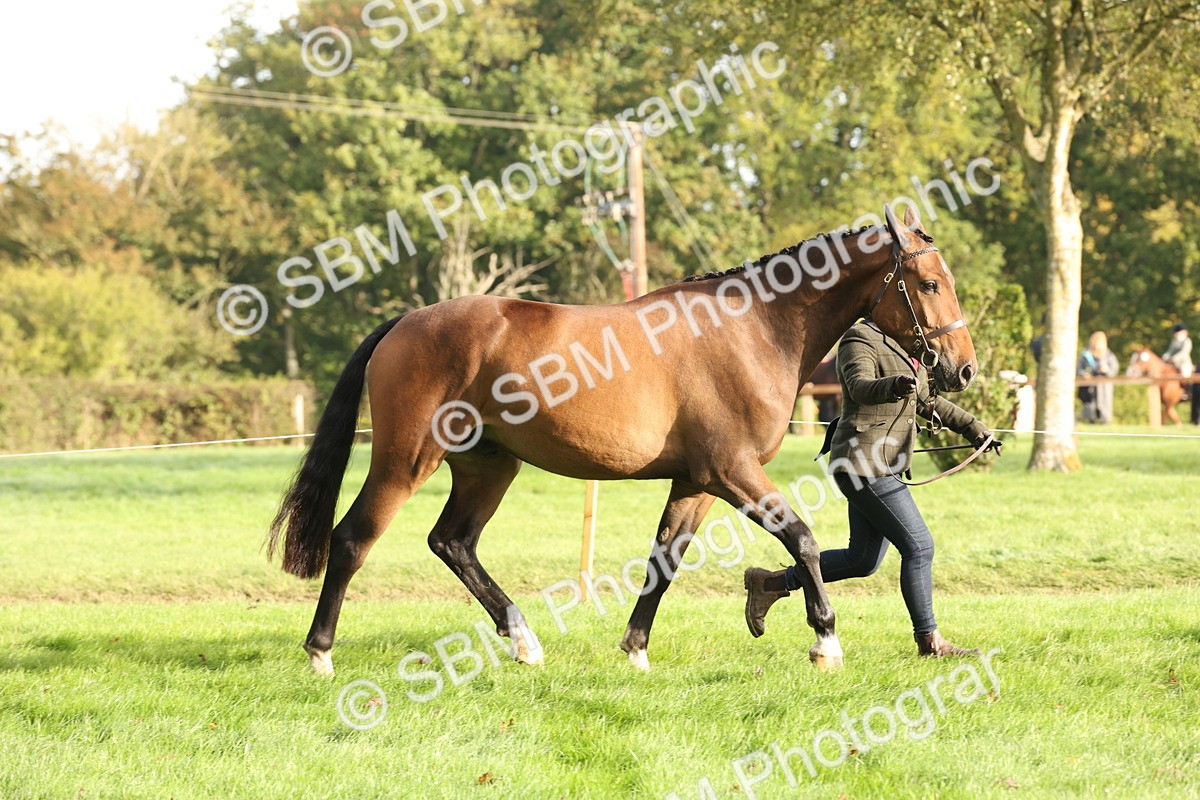 SBM_54684 - S53 - Hunter In Hand