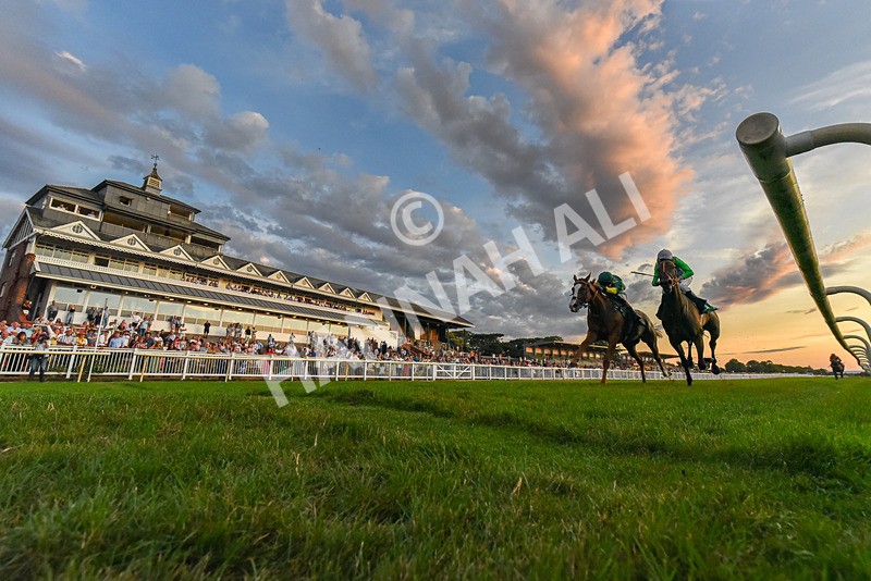 140826-Race 6-Recobella-5483 - Race 6 20.20pm Birra Moretti Handicap
