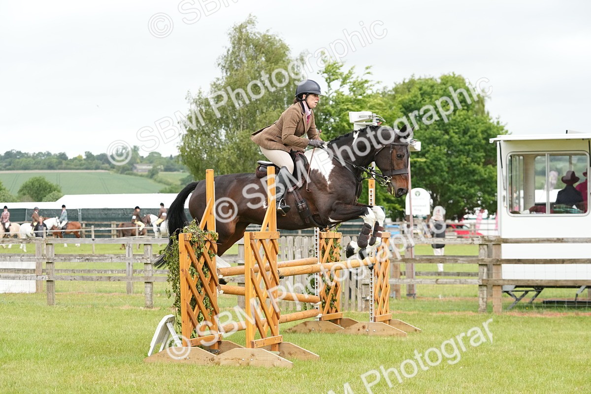 SBM_12566 - Class 97-98 - LIHS BSHA Rising Star Working Show Horse Hunter