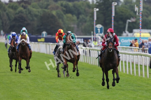 yr24092021r5-18 - Race 5 3.50pm William Hill Leading On Course Bookmaker Stakes