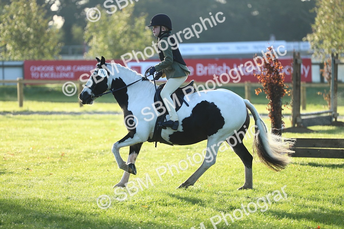 SBM_31751 - S28 - Nursery Stakes Working Hunter Pony
