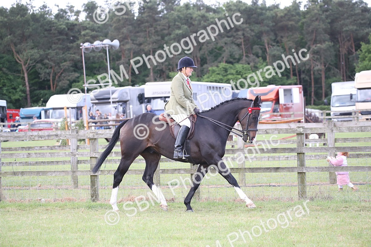 SBM_14148 - Class 113-114 - Retraining of Racehorses Ridden