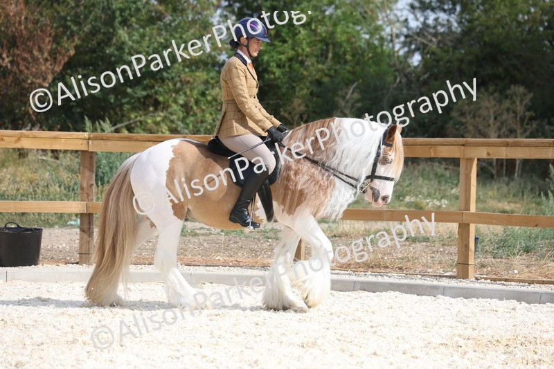 20260802-0394 - Class 6 - Veteran Ridden