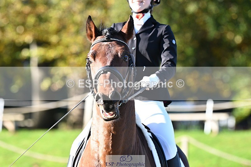 231110-100044-01778 - Cls 2 Prelim 17(a)Q