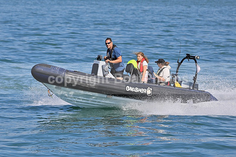 190825 GNASHER 1Y3A1391 - RIBs, Tenders, Dories, Dinghies