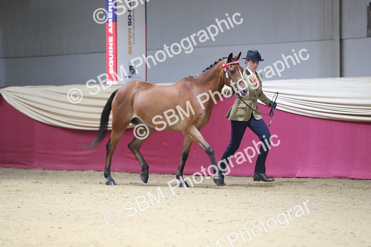 SBM_00206 - Class 1a - Area IH Diamond