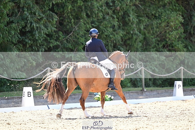 260731A-111806-00303 - Elementary Bronze 10.30 - Break