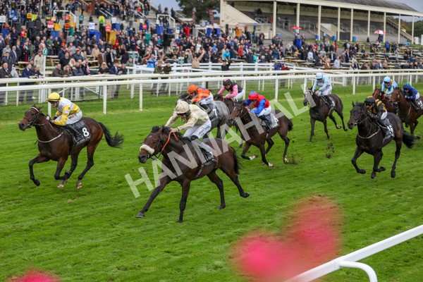 131023-Race 3-Apiarist-9783 - Race 3 3.15pm British EBF £100,000 Final