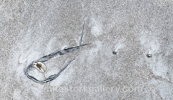  - The Sand Gallery