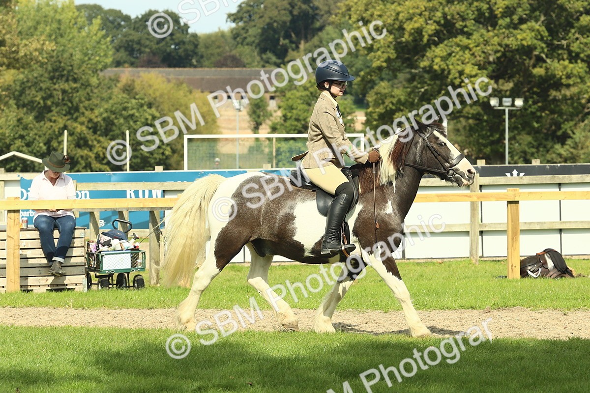 SBM_67520 - S56 - Coloured Pony Ridden