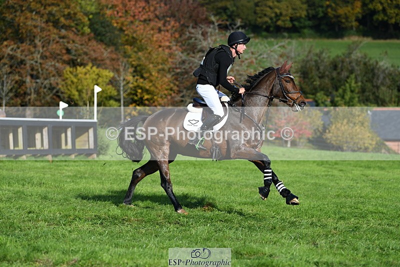 251024A-111800-07611 - A-017-Harrison.Chart