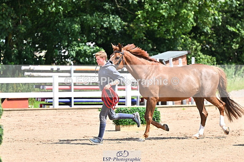 240718A-105241-01037 - Trot Up 11am to 12pm