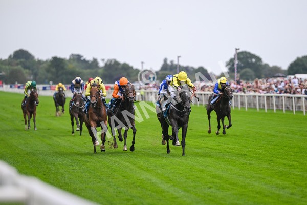 080925-Race 1-Proud Nation-7147 - Race 1 2.30pm Enter ITV7 For Free Confined EBF Maiden Stakes