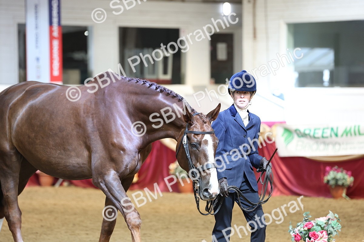 SBM_23337 - Class 903 - Supreme Final - IH Pre Vet