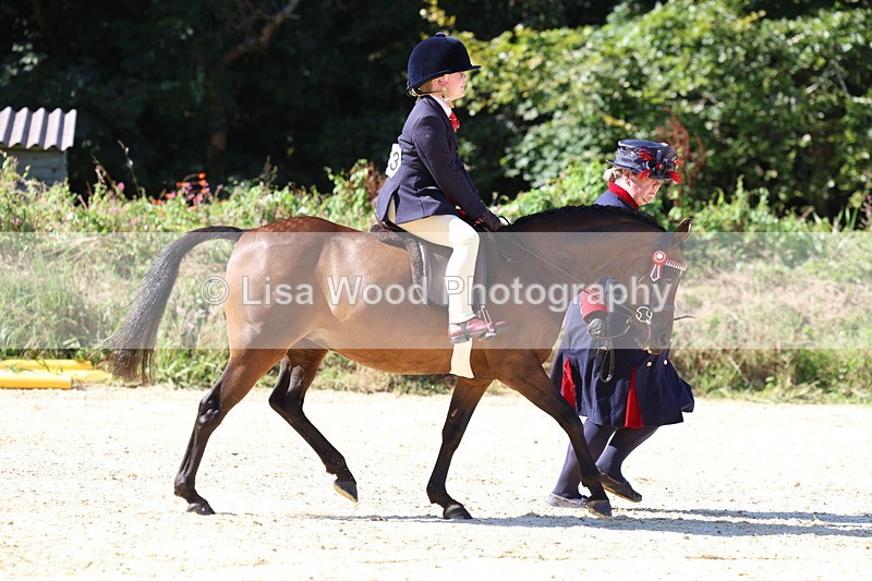 3E7A7965 - Class 14: Tack and Turnout