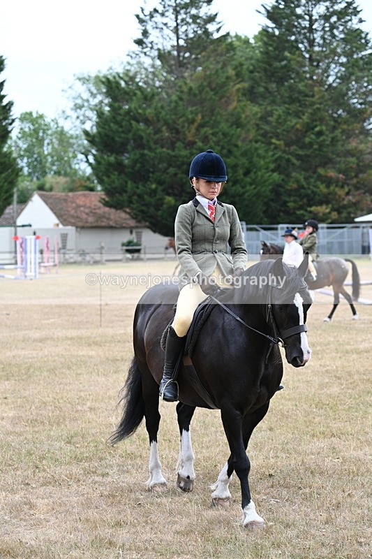 WJ7_0281 - Class 6 Ridden Mountain and Moorland
