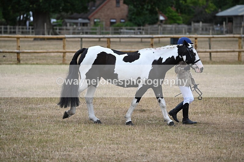 WJ6_7875 - Class 10 Coloured in Hand