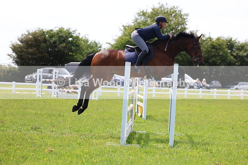3E7A1381 - Class 12: Senior Foxhunter/1.20 open
