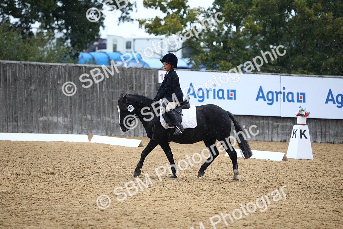 SBM_42811 - D21 - Junior Championship Intro 1