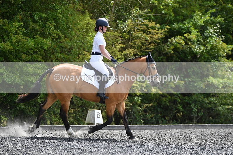 WJ5_0995 - Time 13:45 to 14:20