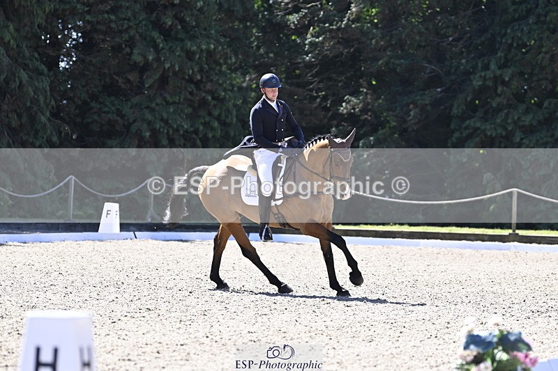 250522A-104746-02906 - B-312-Mark.Davidson-THE.BOSSMAN