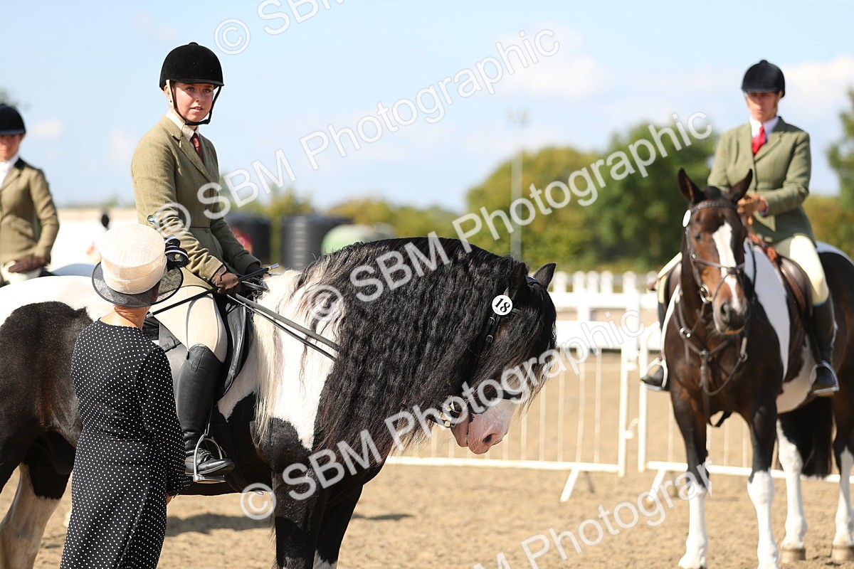 SBM_03222 - Class 44 Riding Club Horse/ Pony