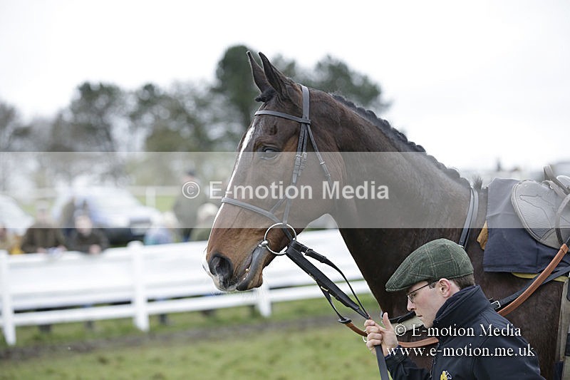 PtP 150320 0540 - New Forest Point-to-Point Larkhill 15/03/20