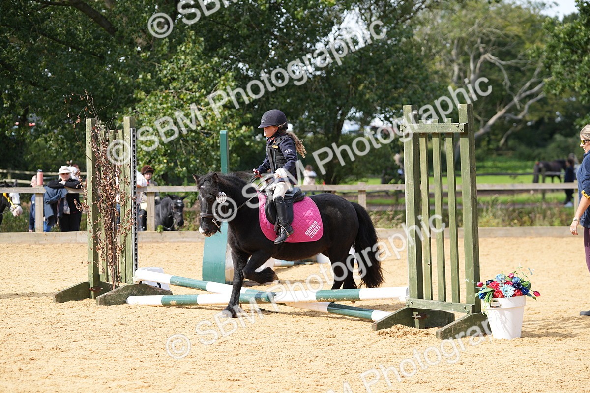SBM_65770 - J2 - Mini Tour Junior Pony 30cm Championship