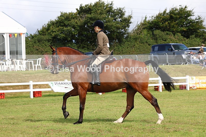 3E7A9490 - Class 4: Rising Star M/H Hunter