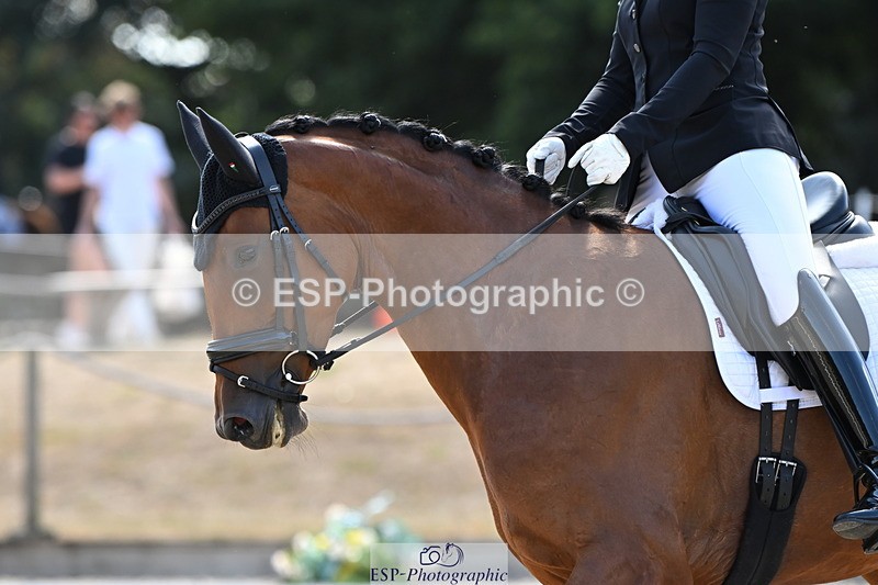 250808A-155659-01960 - 001-Ellen.GloverAmazing.Lady.Texel.MFS