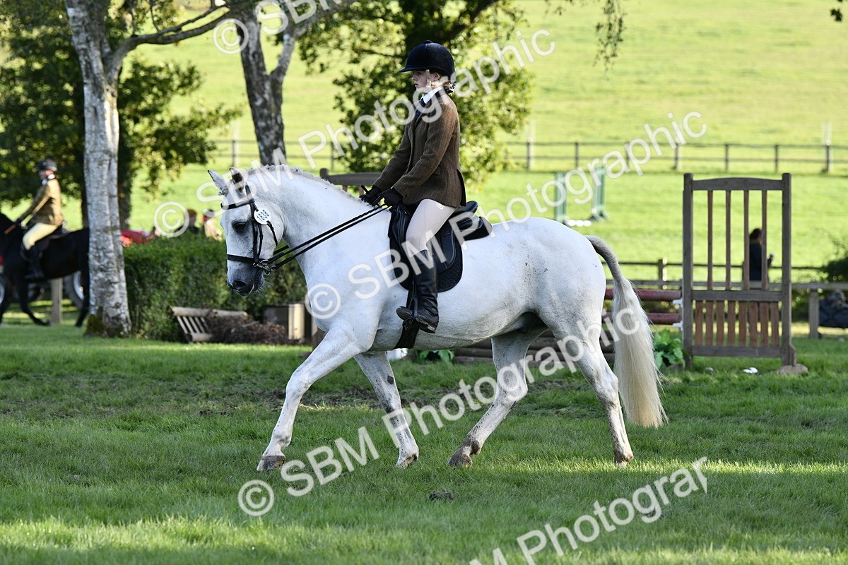 SBM_53514 - S14 - Riding Club Horse