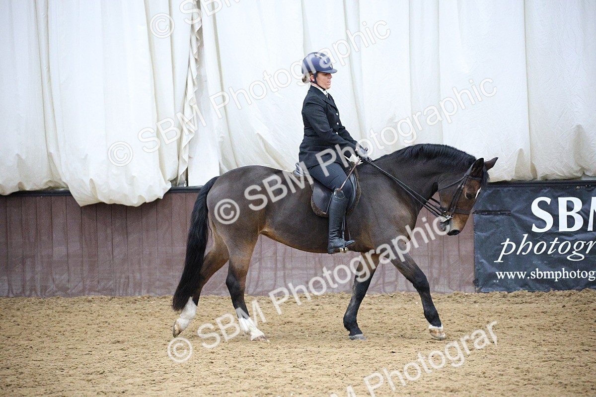 5K7A6066 - Class 48 - Ridden Mare