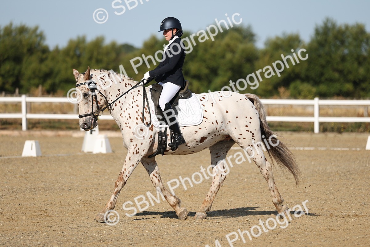 SBM_012676 - Class 1 - P5 Bronze 9.00.10.12