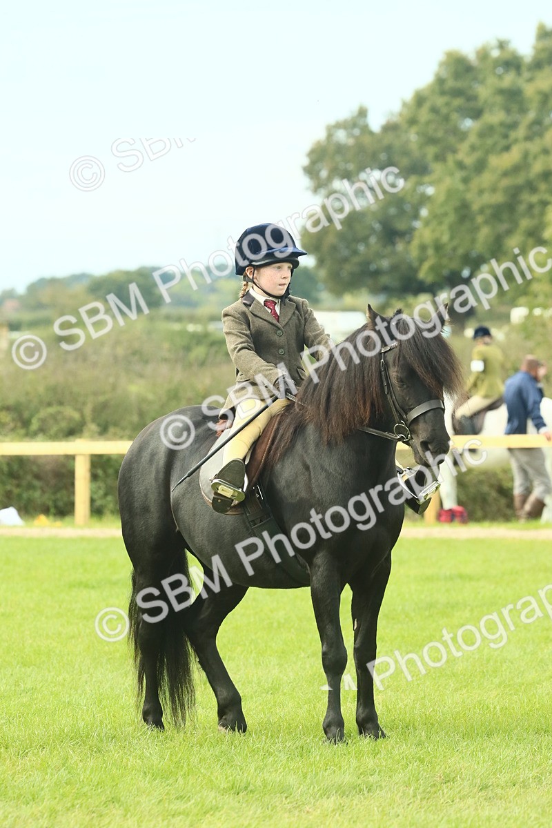 SBM_69898 - S59 - Mountain & Moorland Ridden Small Breeds