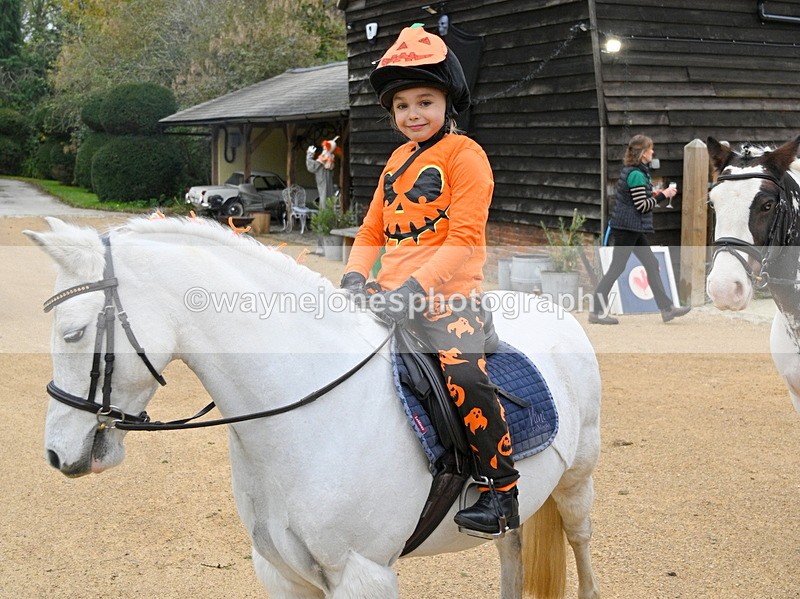 WJ7_6074 - Berks & Bucks - Children's Meet - The Old Farmhouse – Steventon.