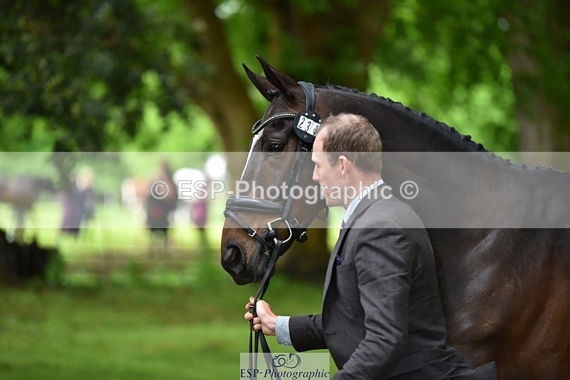 240522-170242-01345 - 234-MATTERHORN_RISING-Tom_Rowland