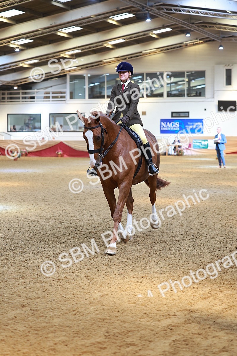SBM_12573 - Class 103 - HOYS Veteran Qualifier - Ridden Pre Vet