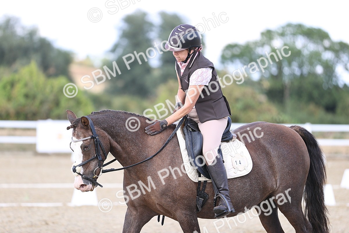 SBM_015964 - Class 5 - E5 Bronze  16.18.17.22