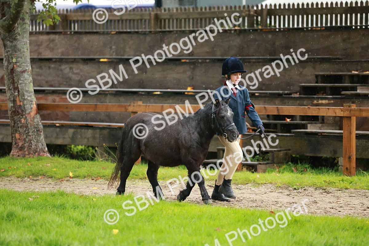 SBM_34847 - S10 - Best In Hand Horse & Pony