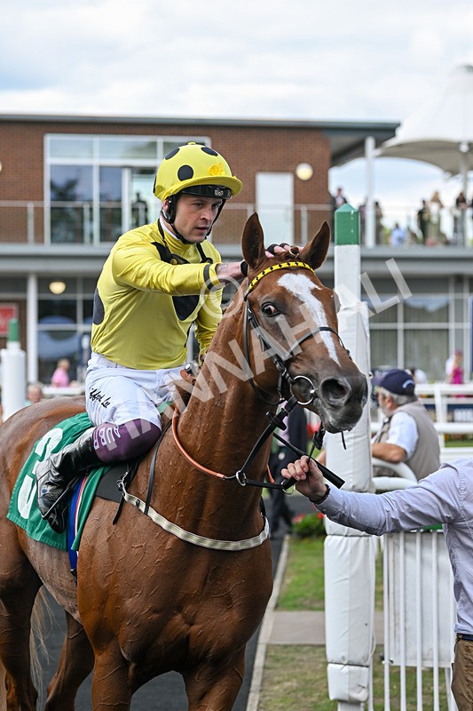 020825-Race 2-Zeus Olympios-2744 - Race 2