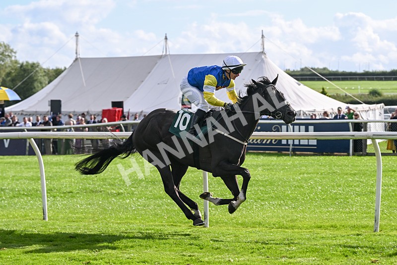 080926-Race 5-Lope Y Linda-2725 - Race 5 4.11pm Every Race Live On Racing TV Handicap