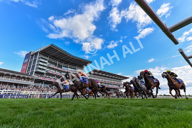 220826-Race 5-Sondad-6178 - Race 5 16.10pm Sky Bet Constantine Handicap