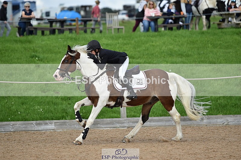 230902A-142702-01750 - Cls 3B Pony Medium 90cm